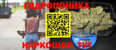 дурь Гусиноозёрск