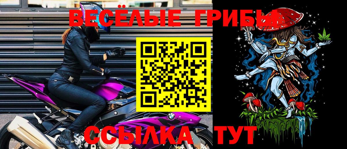 Галлюциногенные грибы Psilocybe Иркутск