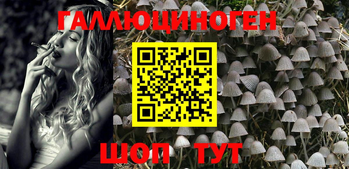 Галлюциногенные грибы прущие грибы  Иркутск 