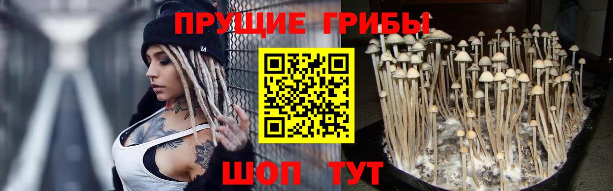 Иркутск  Псилоцибиновые грибы прущие грибы  Вход с VPN 